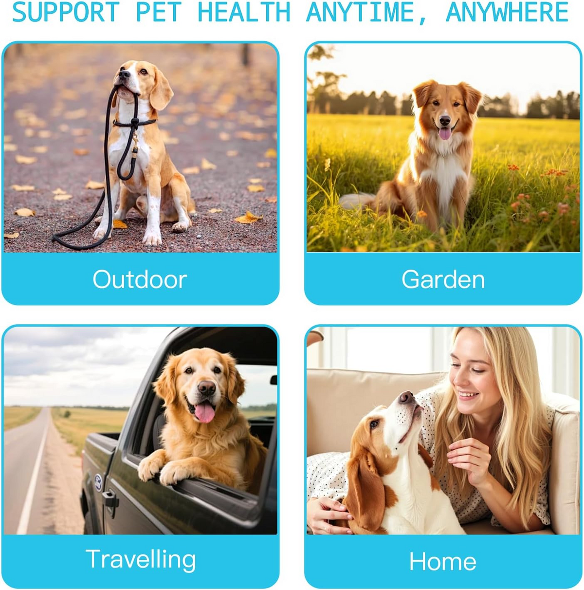 Pet Dental Cleaning Wipes for Dogs & Cats