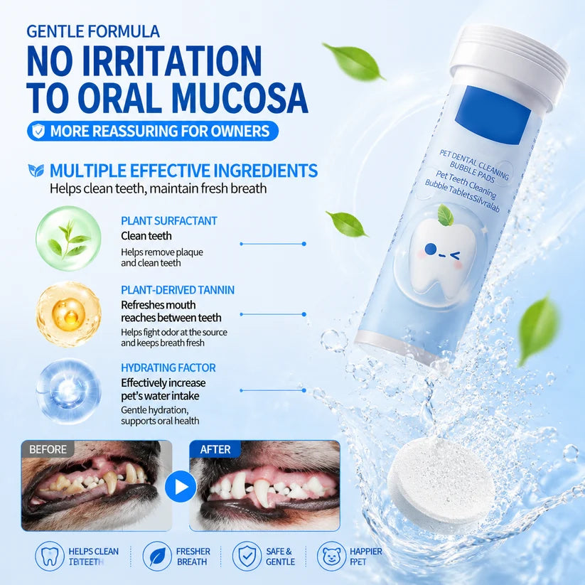 Your Pet Can't Tell You Their Mouth Hurts — But You Can Help With Simple Daily Dental Care