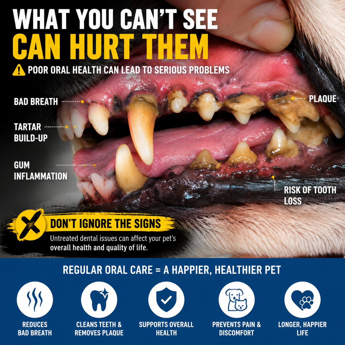 Your Pet Can't Tell You Their Mouth Hurts — But You Can Help With Simple Daily Dental Care
