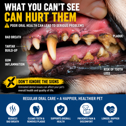 Your Pet Can't Tell You Their Mouth Hurts — But You Can Help With Simple Daily Dental Care
