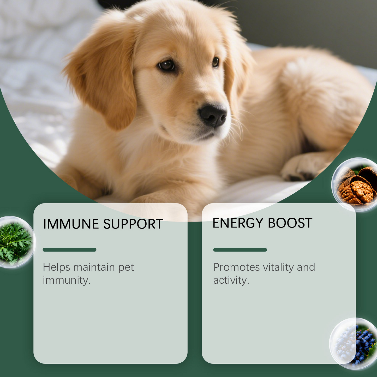 Parasite Cleanse Drops for Dogs