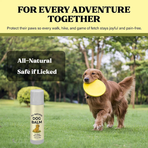 Dog Paw Balm