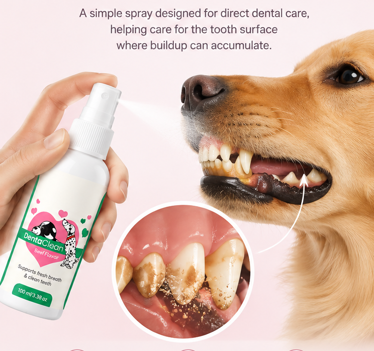 Cleaner Teeth & Fresher Breath