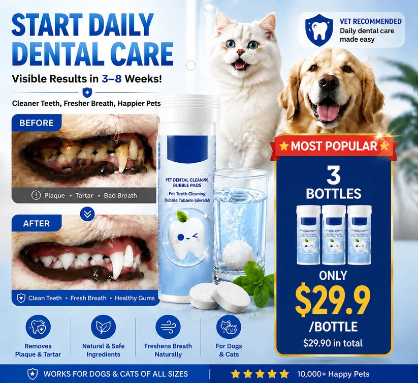 Your Pet Can't Tell You Their Mouth Hurts — But You Can Help With Simple Daily Dental Care