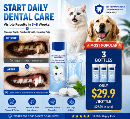 Your Pet Can't Tell You Their Mouth Hurts — But You Can Help With Simple Daily Dental Care