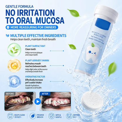 Your Pet Can't Tell You Their Mouth Hurts — But You Can Help With Simple Daily Dental Care