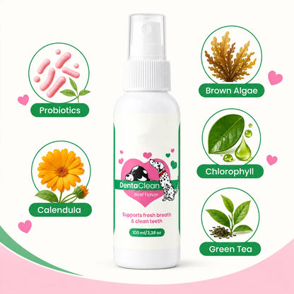 Cleaner Teeth & Fresher Breath