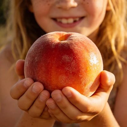 🔥 65K+ SOLD! 🌱 Hipxu Grow Your Own Fruit Garden – Honey Red Peach Tree & Unique Pink Blueberry Seeds
