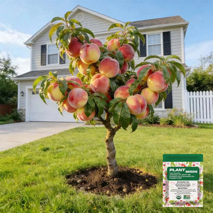 🔥 65K+ SOLD! 🌱 Hipxu Grow Your Own Fruit Garden – Honey Red Peach Tree & Unique Pink Blueberry Seeds